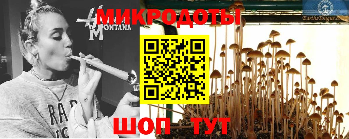 Псилоцибиновые грибы GOLDEN TEACHER Петропавловск-Камчатский